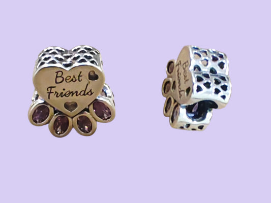 Charm Argento Zampa Best Friends