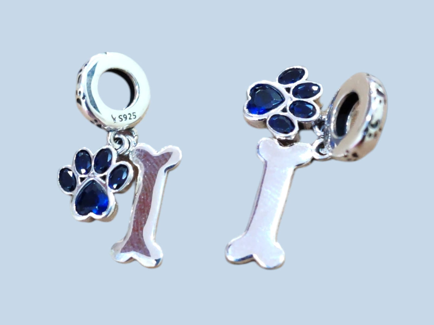 Charm Argento Zampa & Osso Blu