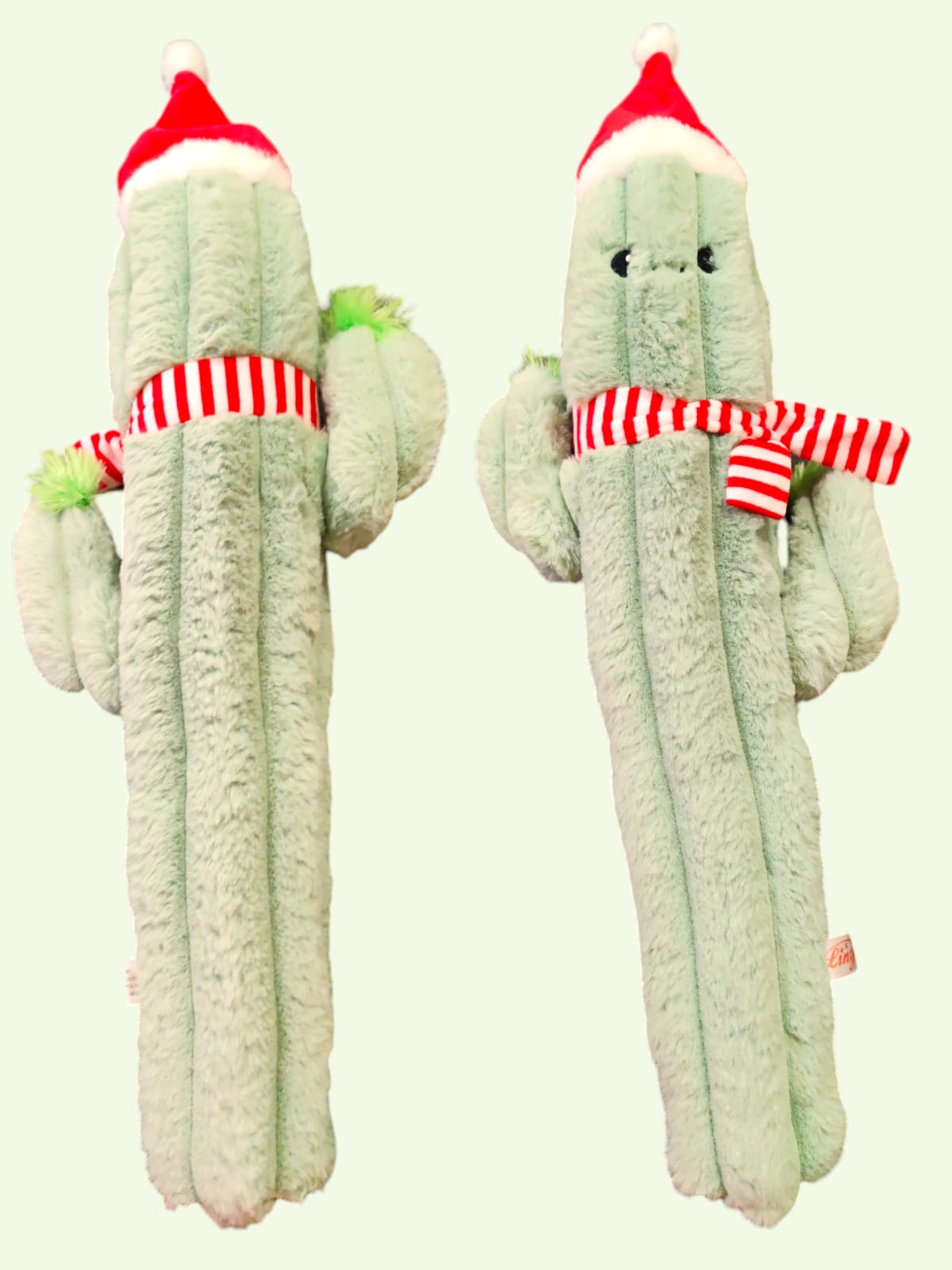 Gioco Cactus Peluche