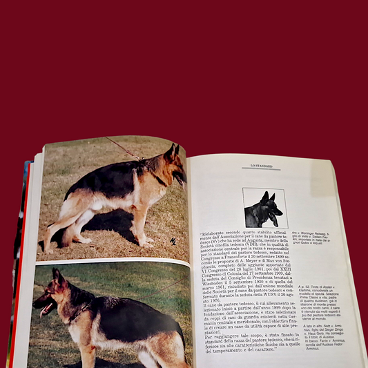 Pastore Tedesco - Libro