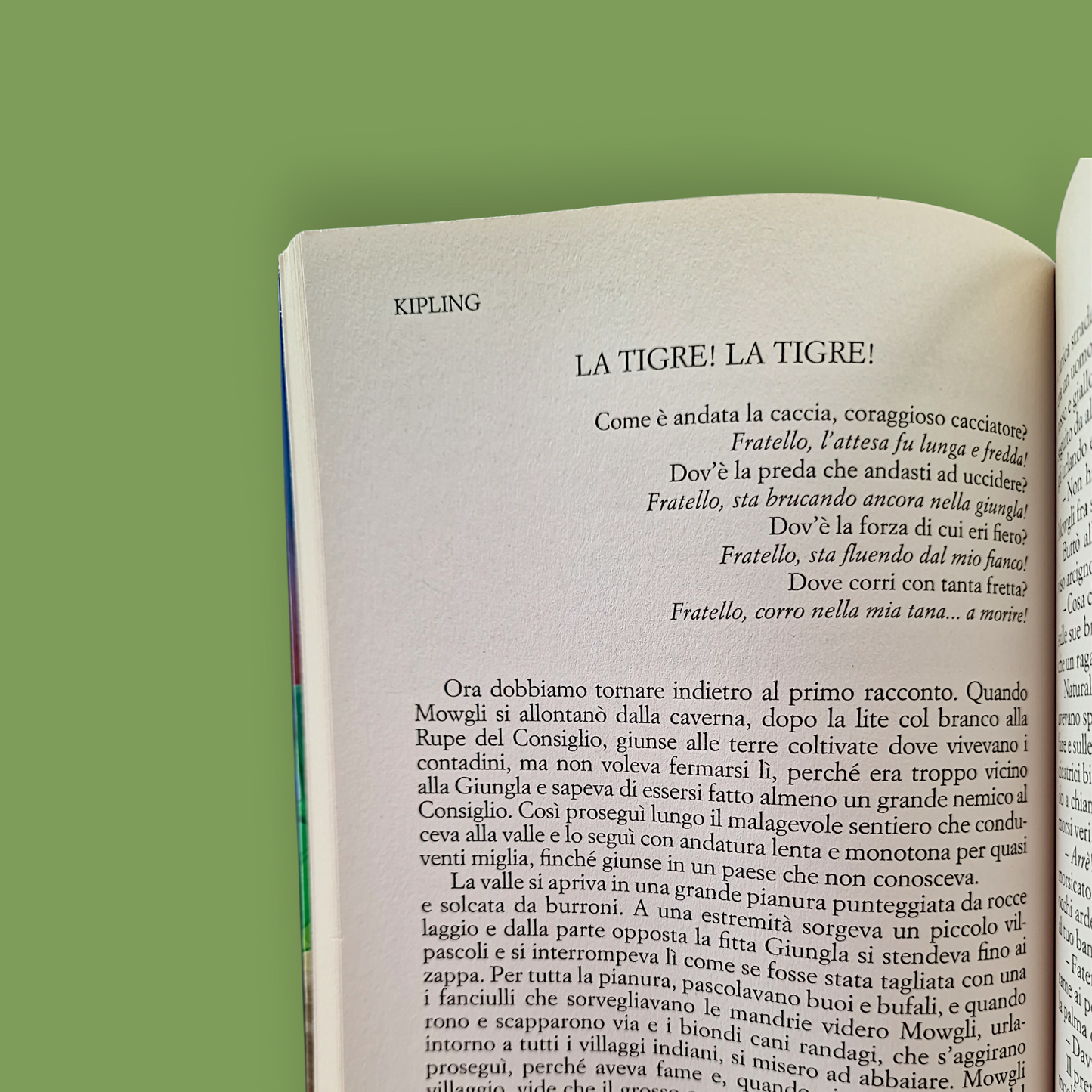 Il Libro della Giungla