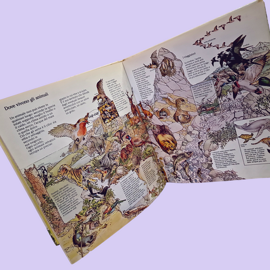 La mia Prima Enciclopedia Illustrata