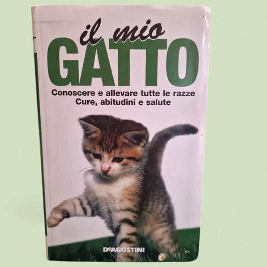 Il Mio Gatto