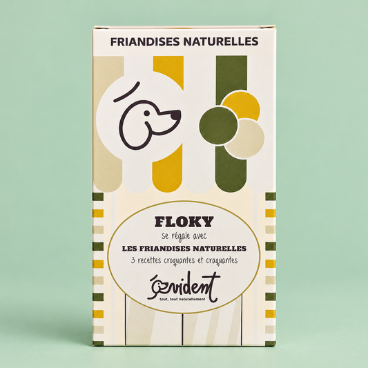 Snack naturali cani (3 ricette diverse)