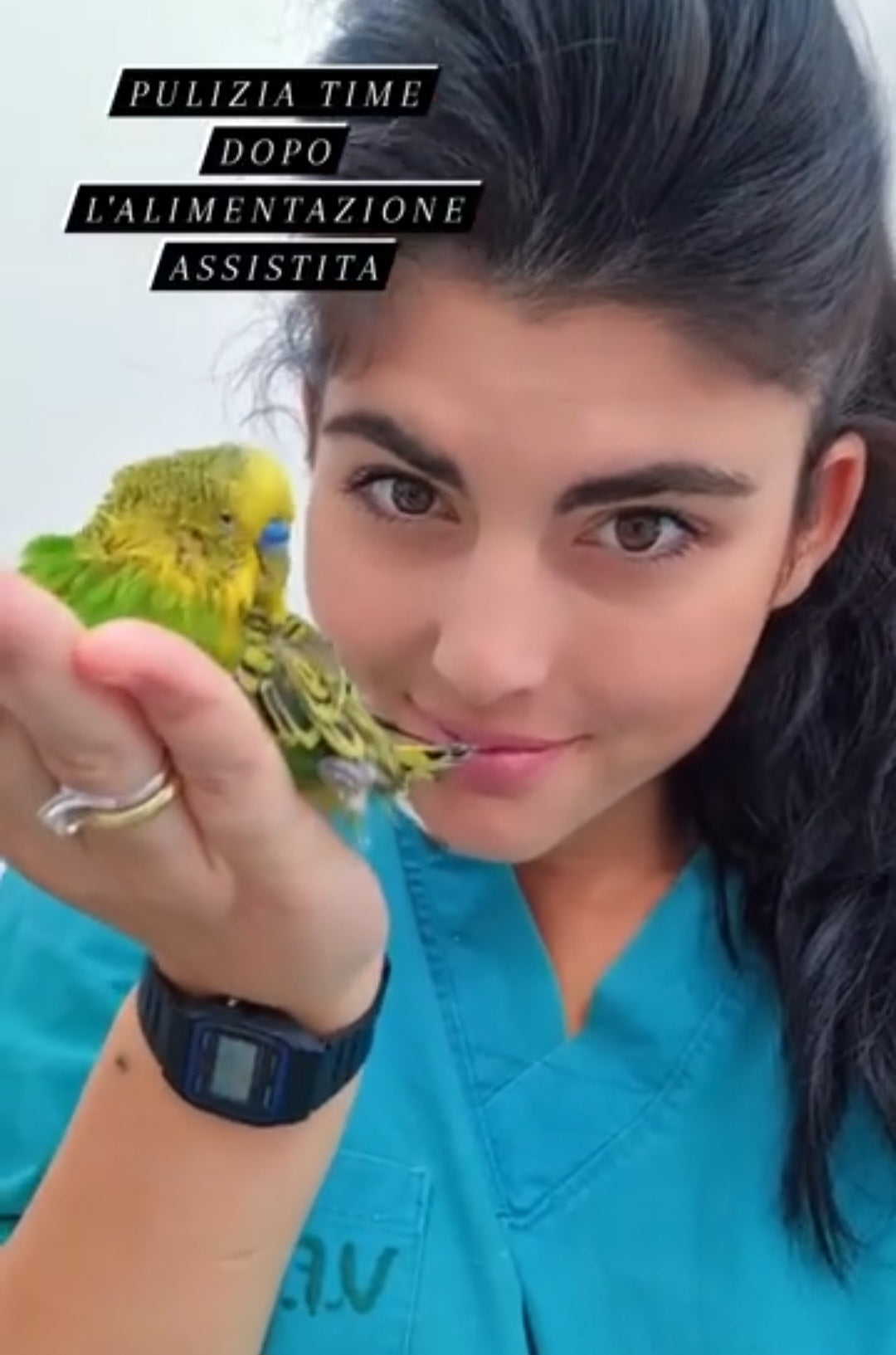 Servizio Pensione per gatti e animali esotici (A Domicilio) (Roma sud e litorale) - Federica Vitiello