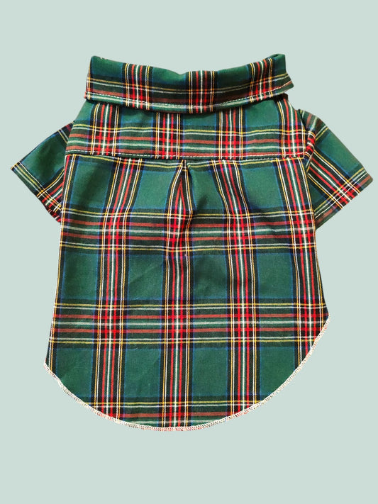 Camicia Verde Quadri