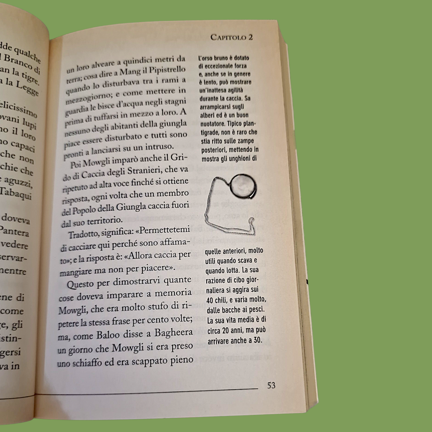 Il Libro della Giungla - Libro
