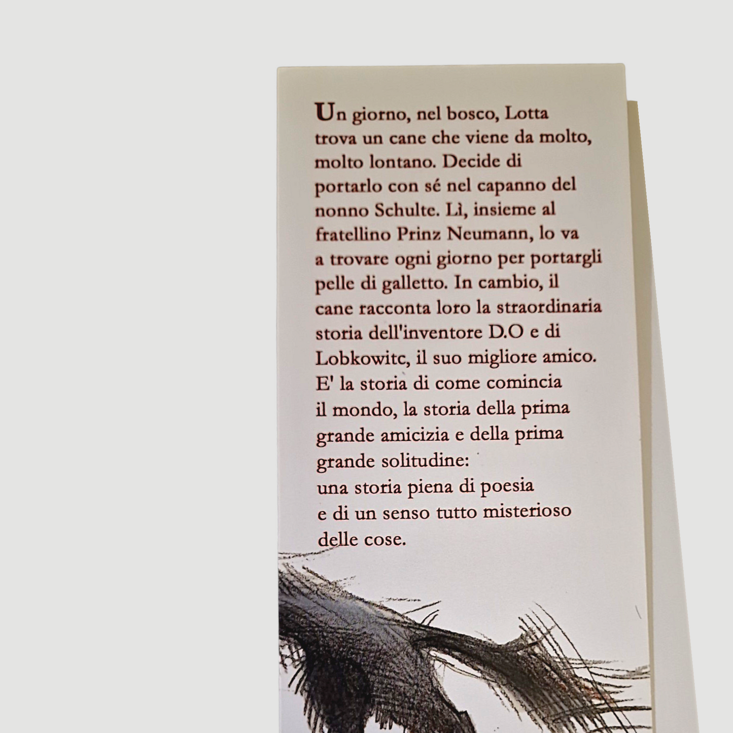 Il Cane dal Cuore Giallo - Libro