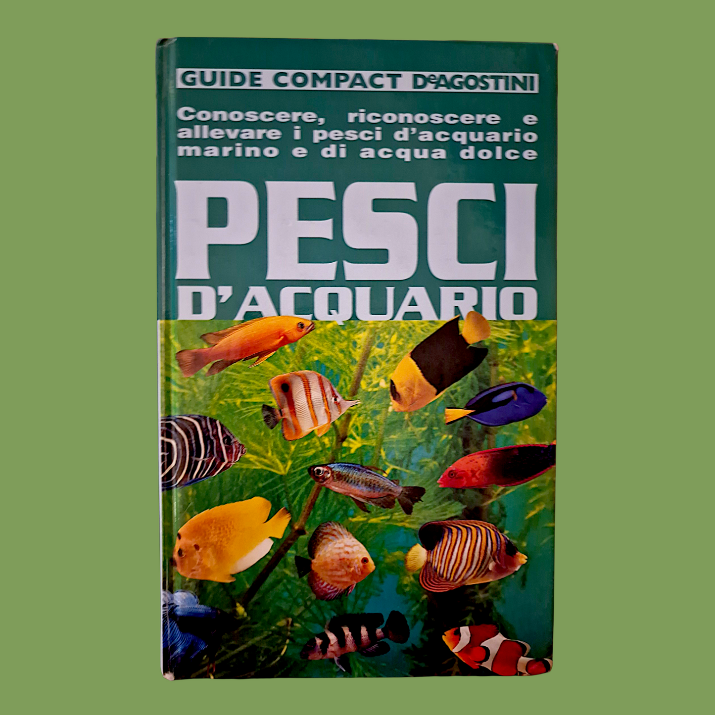 Pesci d'Acquario