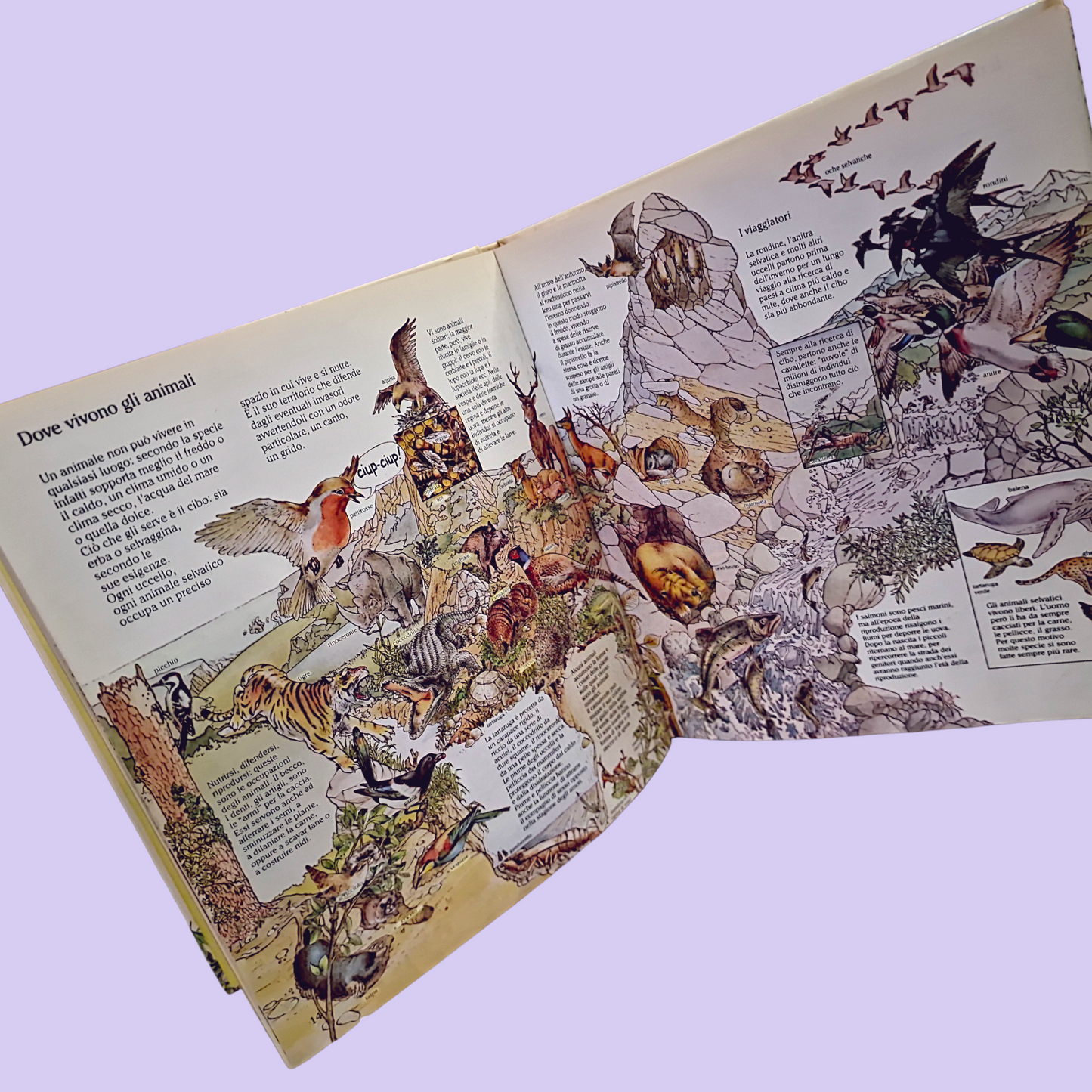 La mia Prima Enciclopedia Illustrata