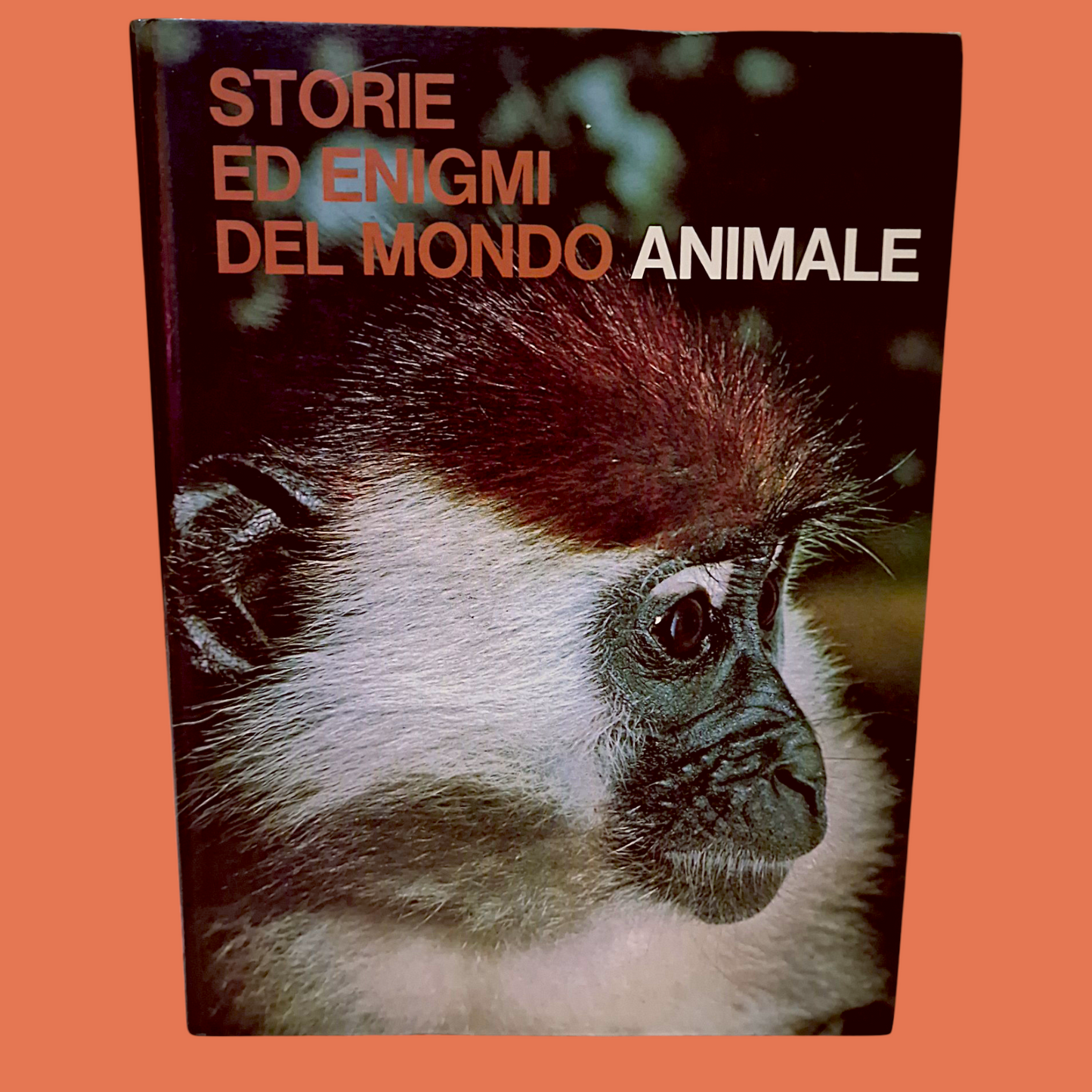 Storie ed Enigmi del Mondo Animale