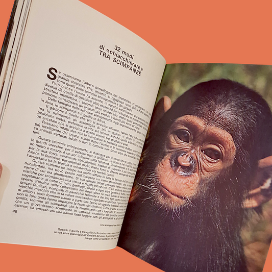 Storie ed Enigmi del Mondo Animale