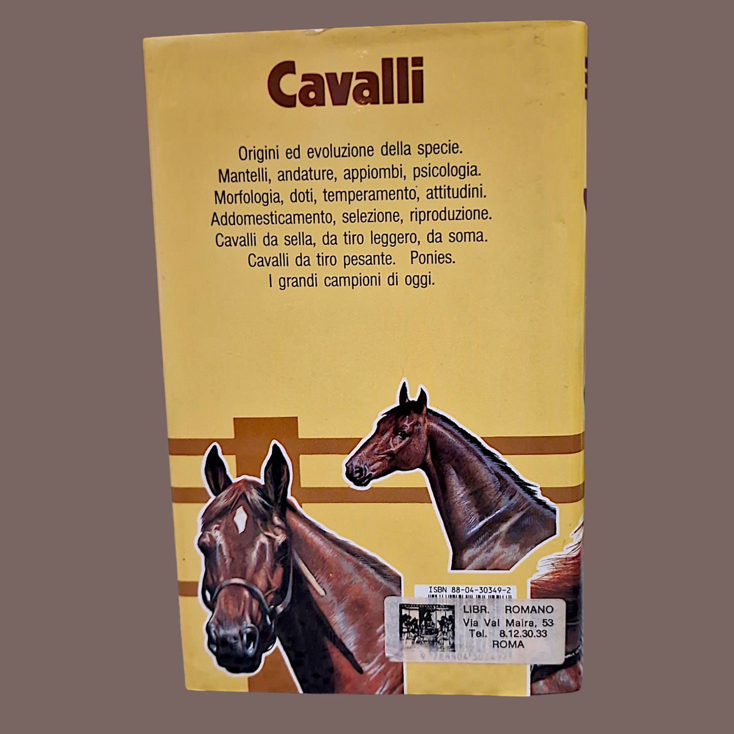 Cavalli Libro