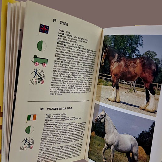 Cavalli Libro