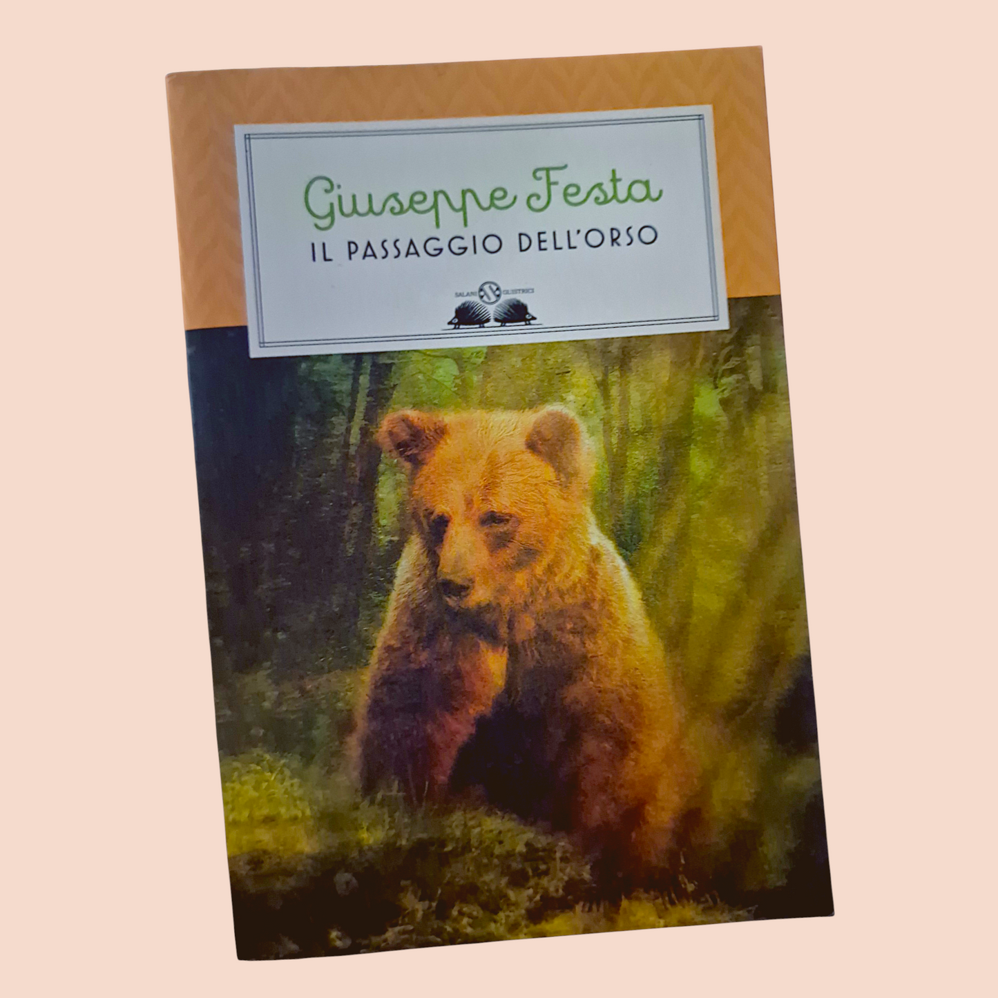 Il Passaggio dell'Orso