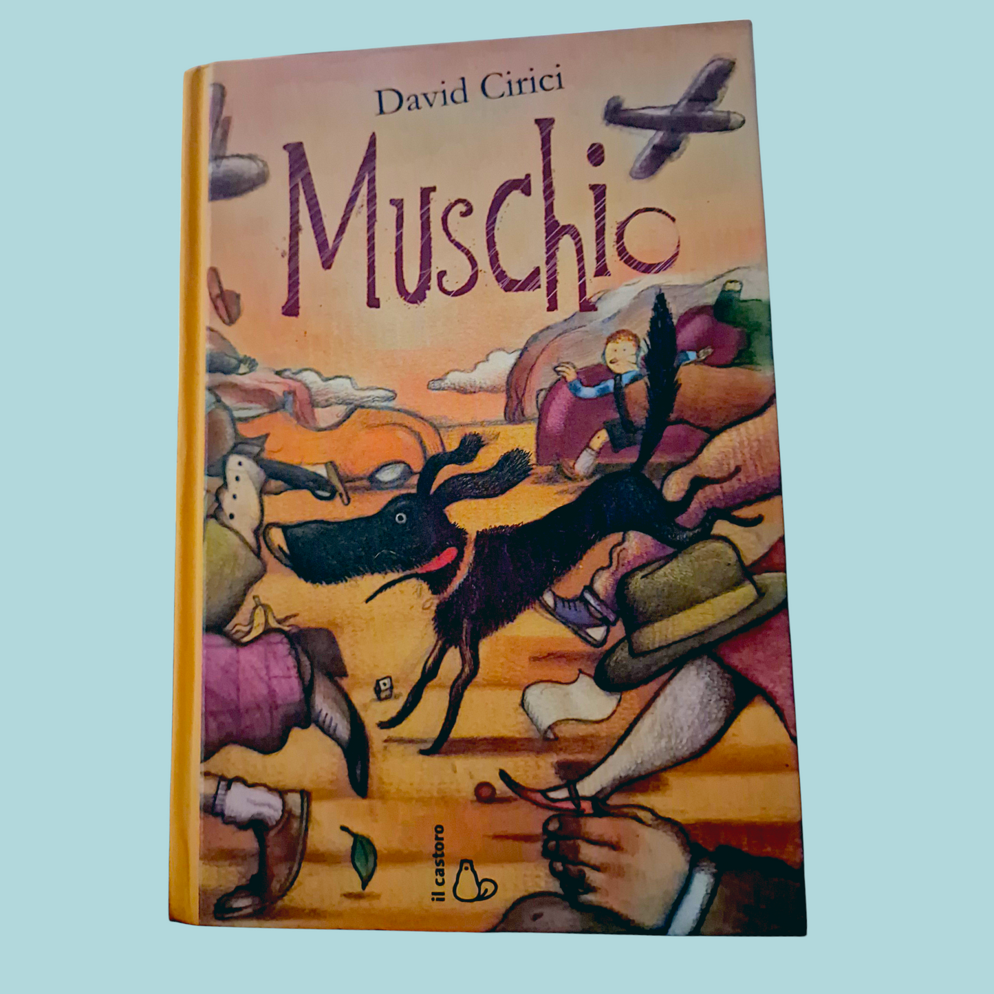 Muschio