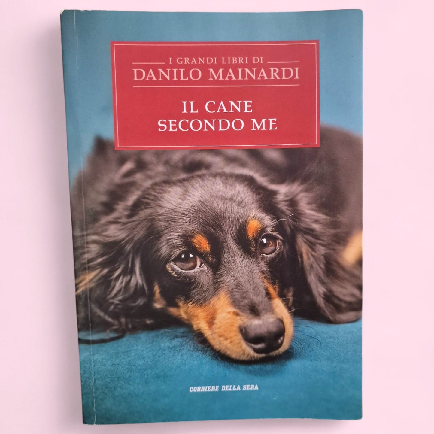 Il Cane Secondo Me