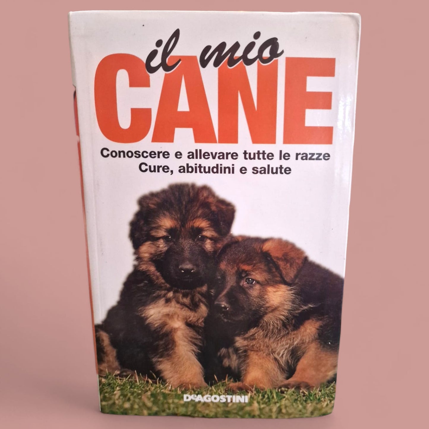 Il Mio Cane