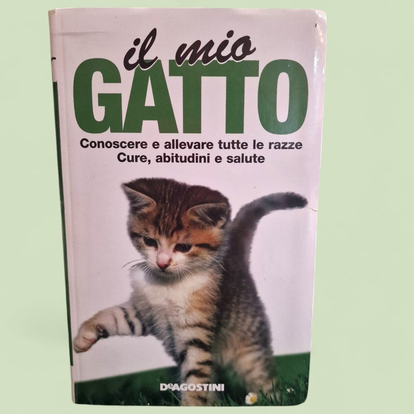 Il Mio Gatto