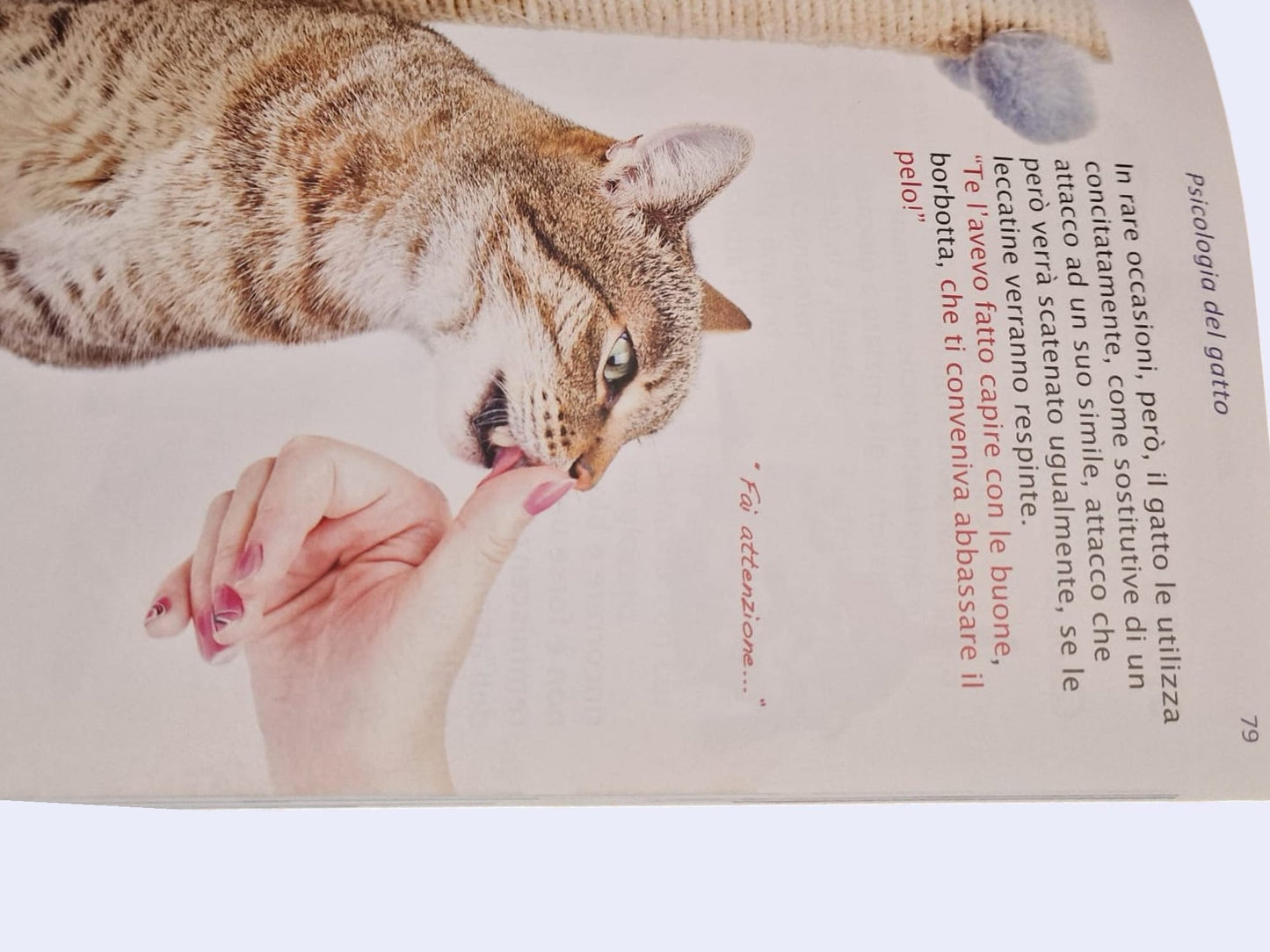 La Psicologia del Tuo Gatto
