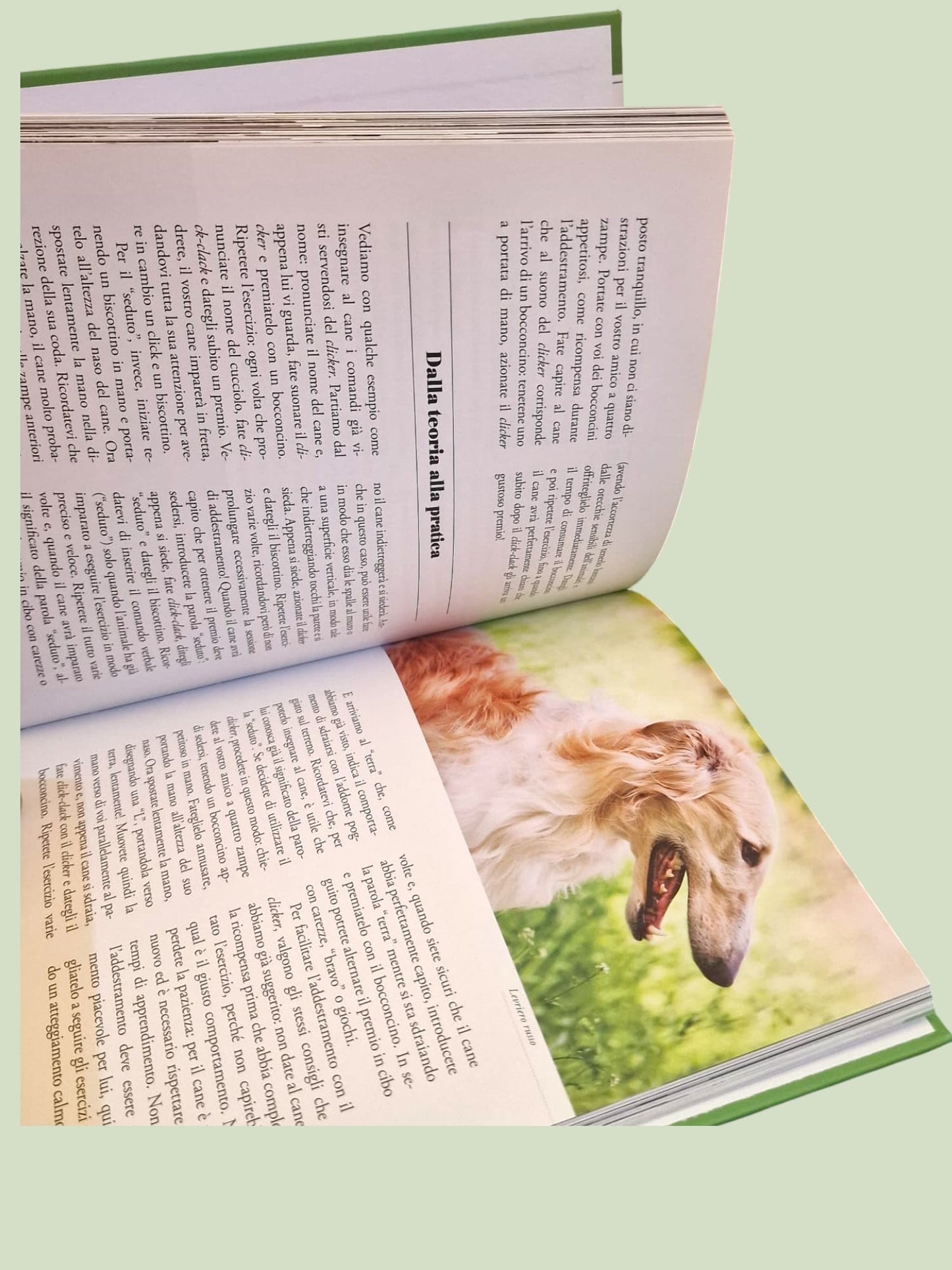 Il Cane "Linguaggio" + Il Cane "Educazione"