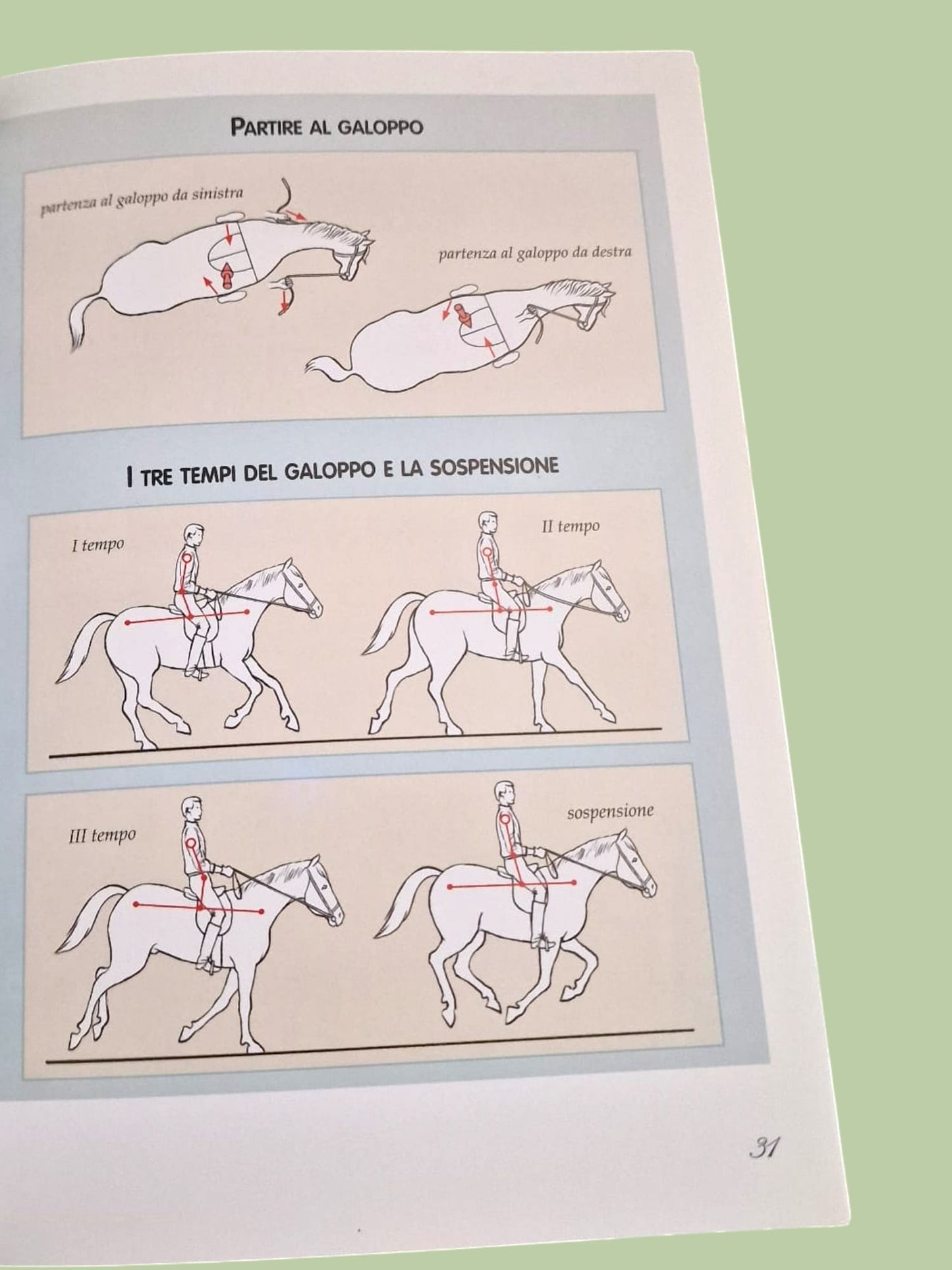 Andare a Cavallo
