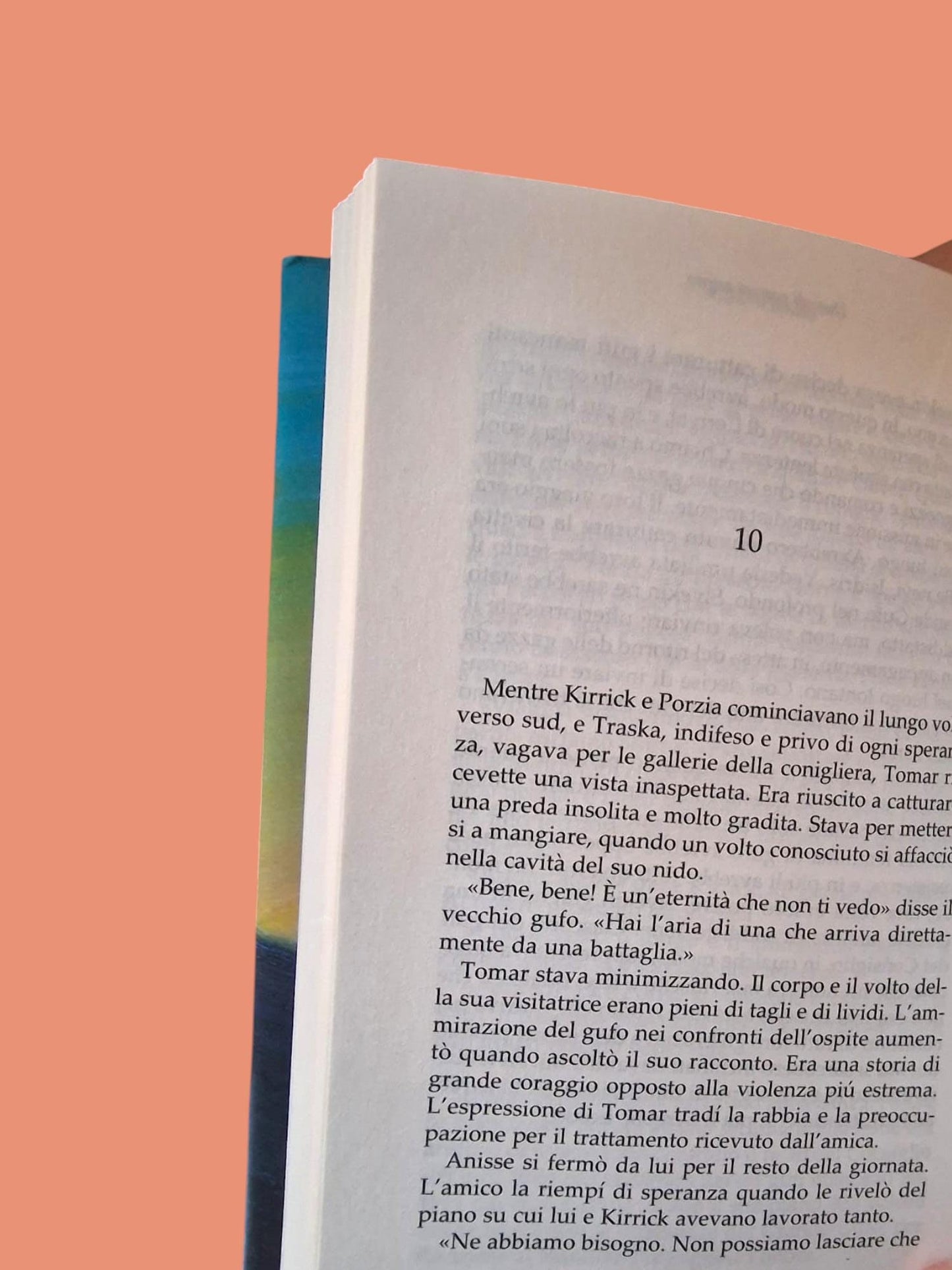Due Ali per un Regno