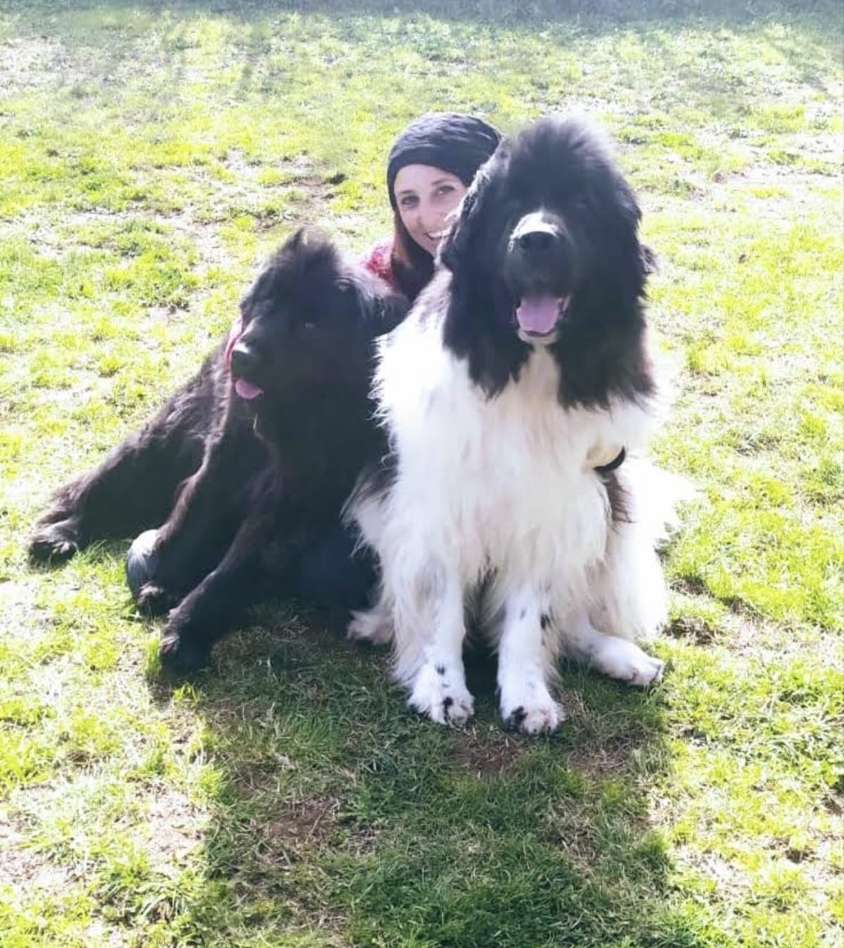 Dog Sitting Casalingo - Francesca Nicolaci