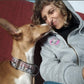Dog Sitting Casalingo - Francesca Nicolaci
