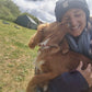 Dog Sitting Casalingo - Francesca Nicolaci