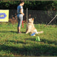 Dog Sitting Casalingo - Francesca Nicolaci