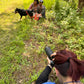 Servizio Fotografico Cani con Sara Pianigiani