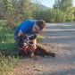 Servizio Fotografico Cani con Sara Pianigiani