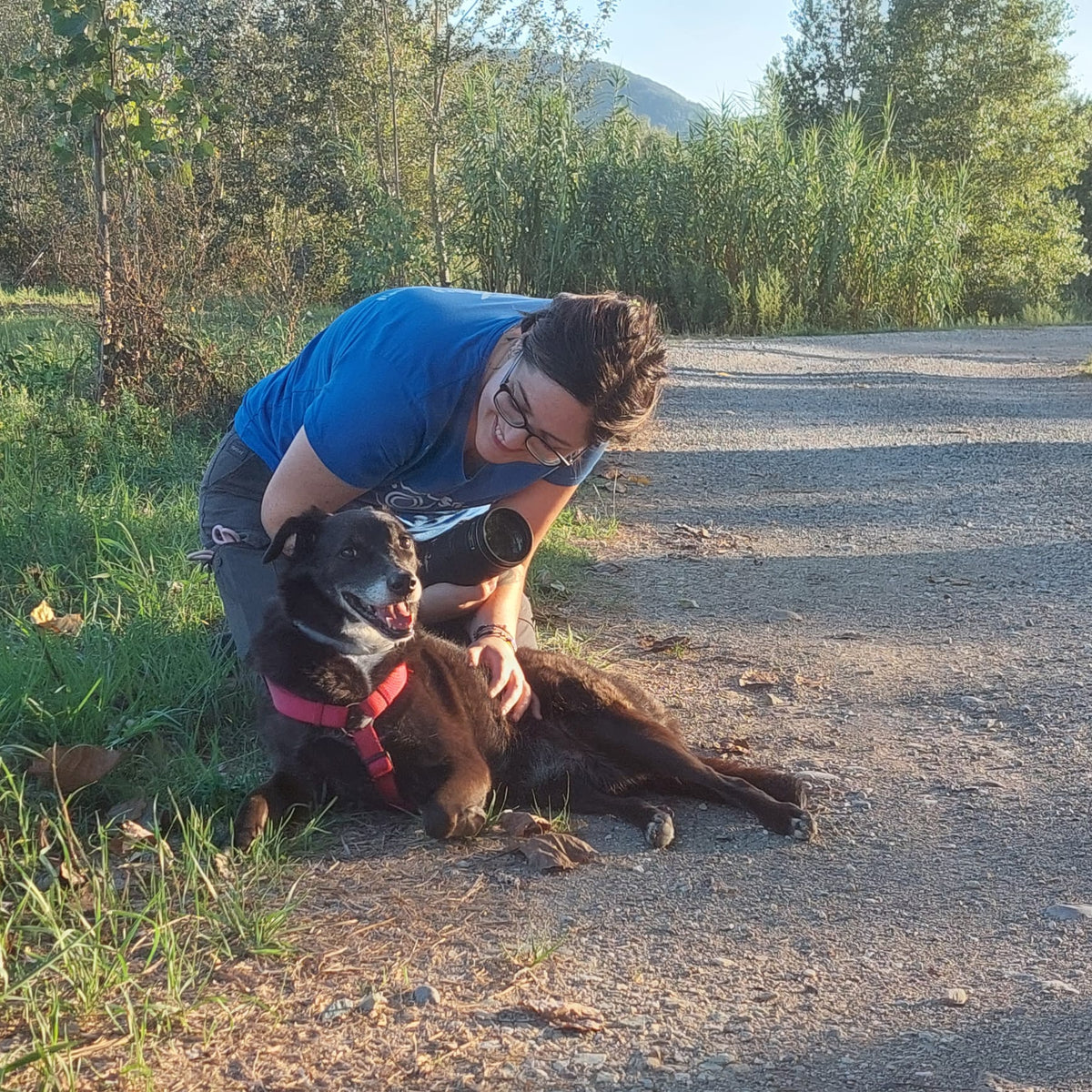 Servizio Fotografico Cani con Sara Pianigiani
