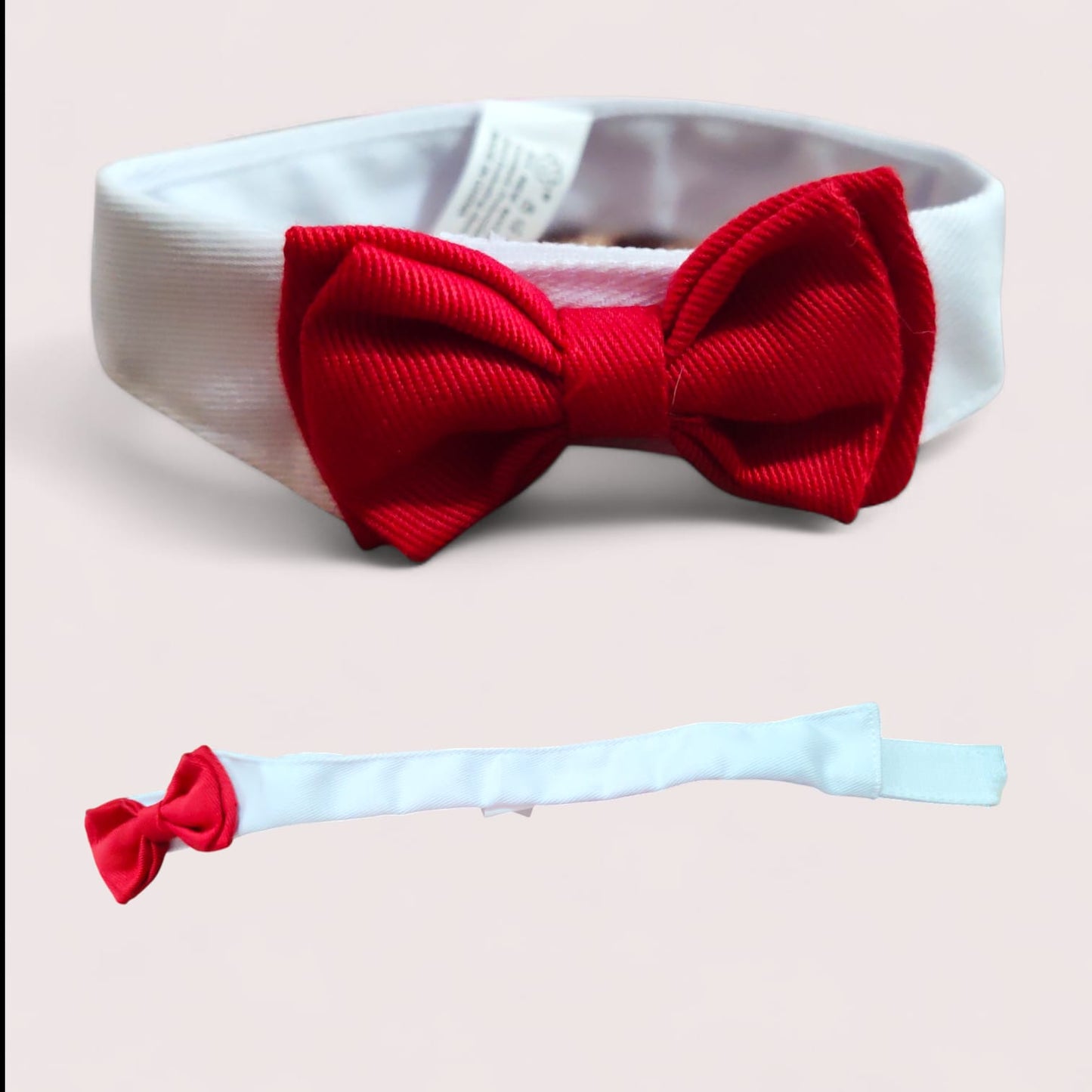 Collare con Papillon Cerimonia