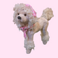Decorazione Albero Natale Tema Cani