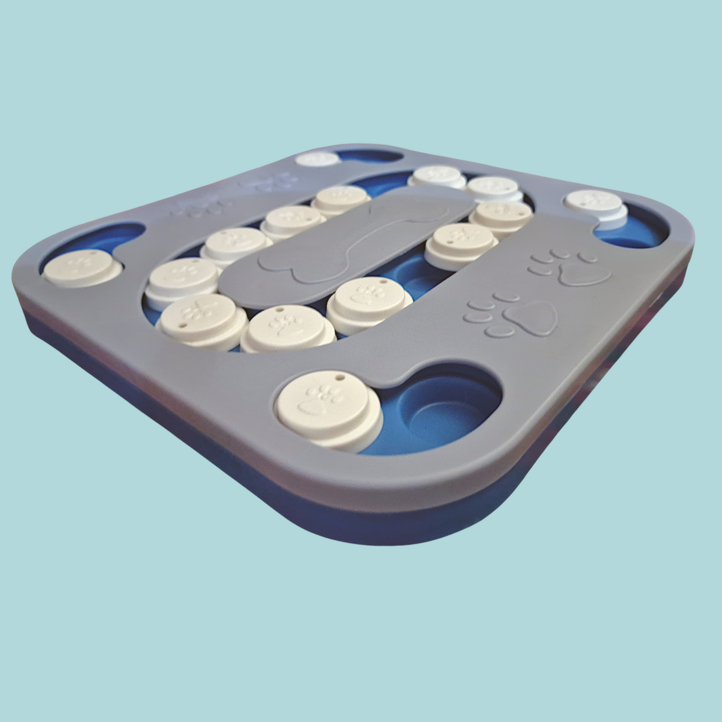 Tavoletta Interattiva Cani & Gatti