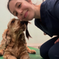 Pet Sitting a Domicilio  - Gabriella Avitabile