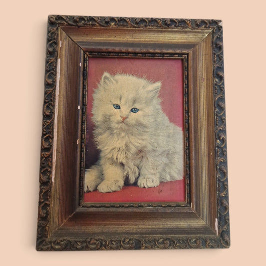 Quadretto Vintage Gattino Persiano Bianco con Cornice Indorata Retrò