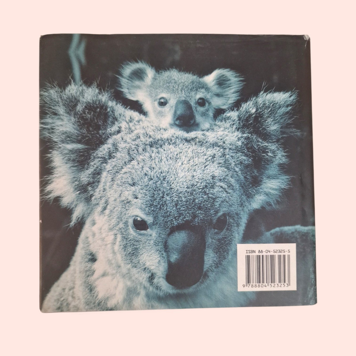 Oh mamma! Cuccioli e coccole