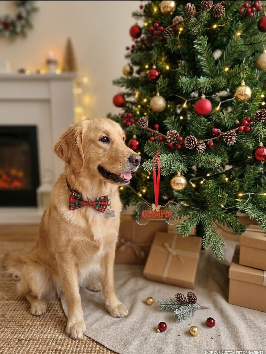 Decorazione albero di Natale personalizzata