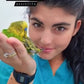 Servizi Infermieristici (a Domicilio) (Roma sud e litorale) - Federica Vitiello